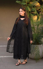 Style-BU 1201 Black Embroidered 3 pc Unstitched Lawn Dress