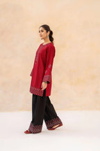 Style-NF 1307 Black & Red Embroidered 2 pc Unstitched Lawn Dress